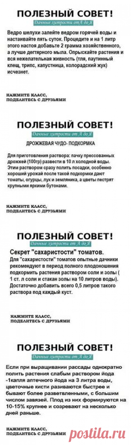 (4) Одноклассники