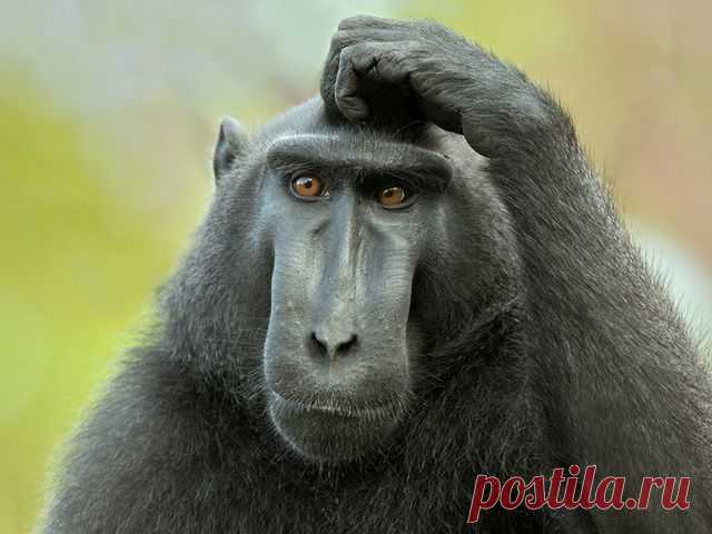 Что же я хотел сделать?