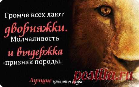 Мой Мир@Mail.Ru