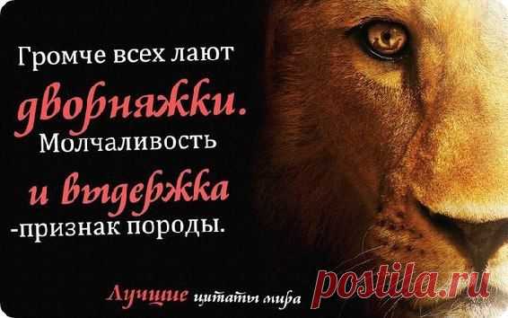 Мой Мир@Mail.Ru