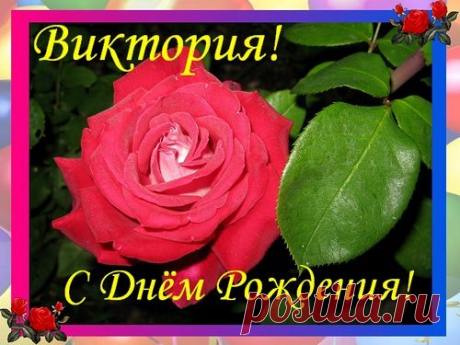 С днём рождения Виктория !