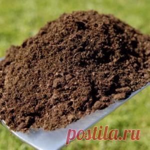 Два мордоворота из крутого джипа решили пописать на старенький ВАЗ. Ну, пописали... - МирТесен