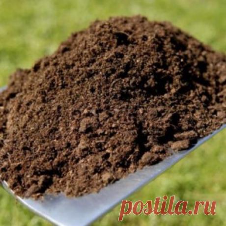 Два мордоворота из крутого джипа решили пописать на старенький ВАЗ. Ну, пописали... - МирТесен