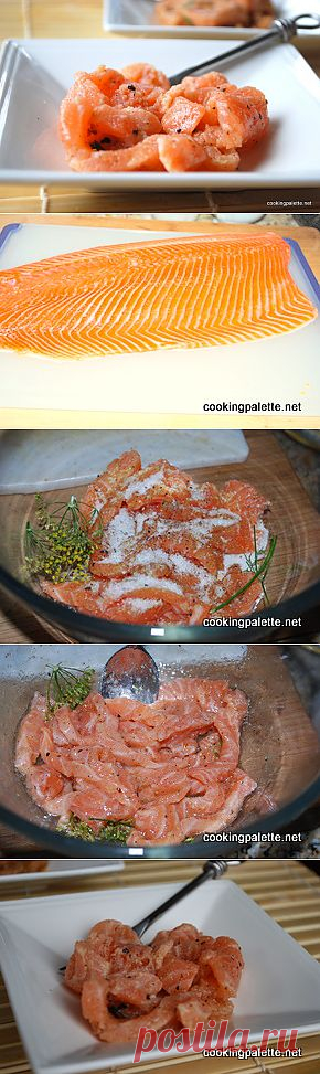 Севиче из лосося, семги, морской форели - Cooking Palette » Cooking Palette