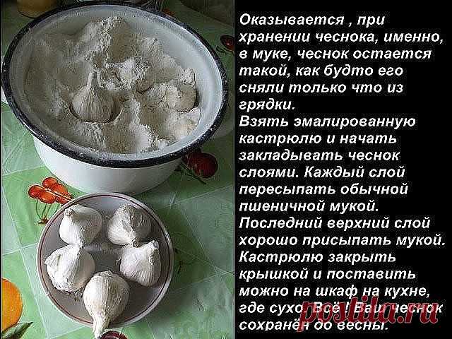 (7) Одноклассники