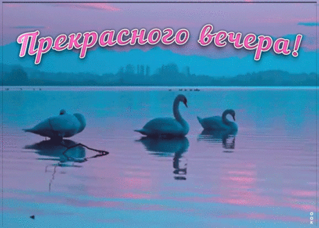 Яркая открытка добрый вечер