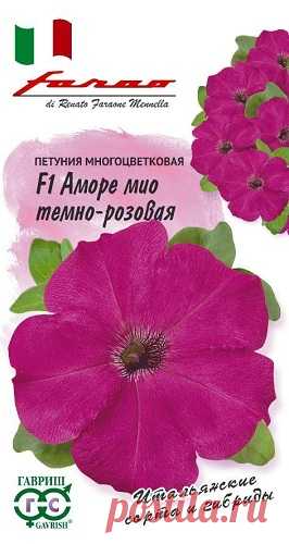 Петуния "Аморе мио темно-розовая F1", многоцветковая