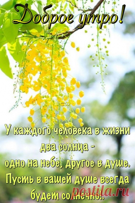 Фотоальбом Разное группы Наслаждаясь жизнью.