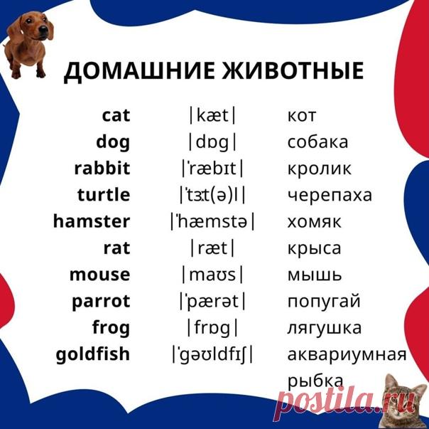 Английский язык