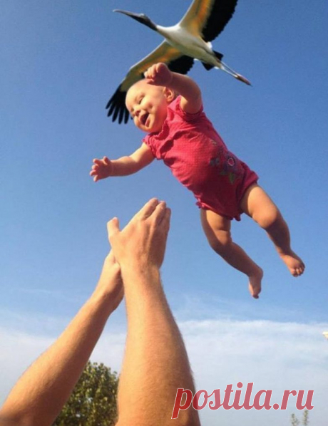 Фотографии животных, сделанные в нужный момент / Питомцы
