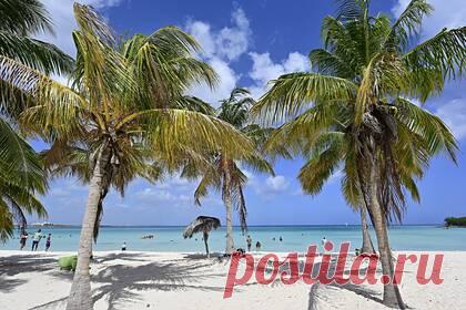 Россиянам назвали оптимальную стоимость отдыха на Кубе в ноябре. Российским туристам назвали оптимальную стоимость туров на курорты Кубы в ноябре. Так, минимальная стоимость десятидневного отдыха на острове Кайо-Гильермо с вылетом 16 ноября и размещением в отеле категории две звезды с завтраками для двоих путешественников начинается от 109 тысяч рублей.