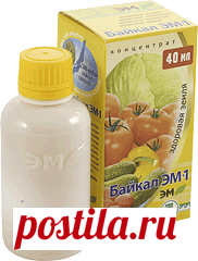 Эм