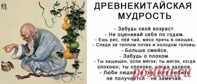 когда мне навязывают китайская мудрость: 1 тыс изображений найдено в Яндекс.Картинках