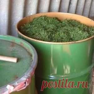 4 вида подкормки для вашего огорода