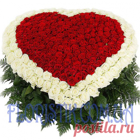 10. Сердце из 201 роз .jpg (500×500)