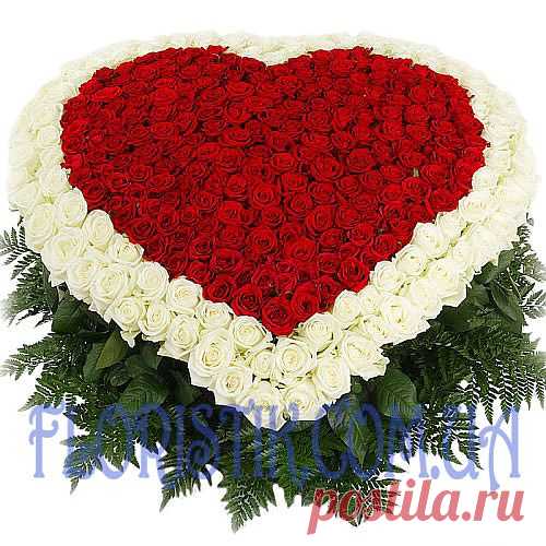 10. Сердце из 201 роз .jpg (500×500)