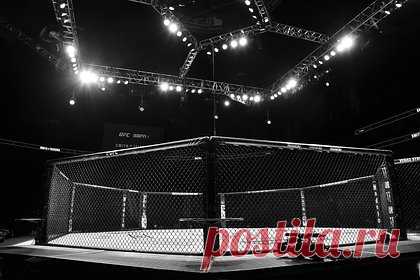 Боец MMA умер в 29 лет от полученной на тренировке травмы. Боец смешанного стиля (MMA) Мухаммадали Саидов умер в США от полученной на тренировке травмы. «Он был в коме, его жизнь сохранял только аппарат жизнеобеспечения. Минувшей ночью врачи сказали, что ничего не могут сделать и отключили его», — рассказал собеседник агентства.