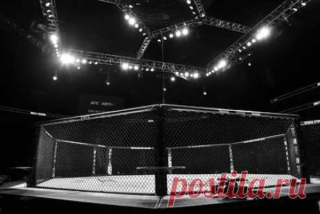 Боец MMA умер в 29 лет от полученной на тренировке травмы. Боец смешанного стиля (MMA) Мухаммадали Саидов умер в США от полученной на тренировке травмы. «Он был в коме, его жизнь сохранял только аппарат жизнеобеспечения. Минувшей ночью врачи сказали, что ничего не могут сделать и отключили его», — рассказал собеседник агентства.