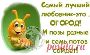 картинки для поднятия настроения девушке прикольные: 17 тыс изображений найдено в Яндекс.Картинках