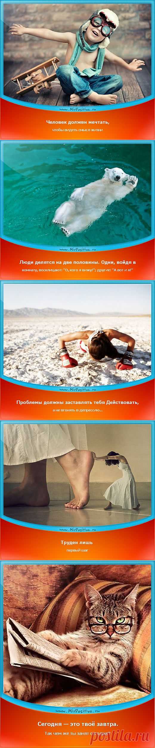 Позитивчики Недели (смотреть фото)