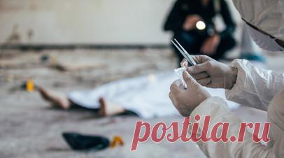 В Туве будут судить охотника, застрелившего мужчину из карабина. В Туве перед судом предстанет 35-летний россиянин, выстреливший в мужчину из карабина во время охоты. Читать далее