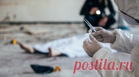 В Туве будут судить охотника, застрелившего мужчину из карабина. В Туве перед судом предстанет 35-летний россиянин, выстреливший в мужчину из карабина во время охоты. Читать далее