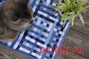 Купальница огоньки МК