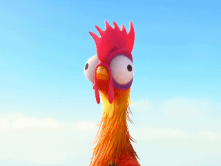 moana_yikes_a8ef4b4b.gif (320×240)