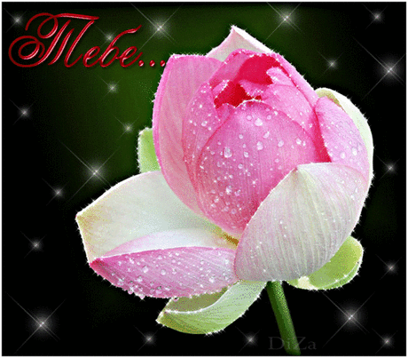 Плейкаст «ЛЮБИМЫМ ДРУЗЬЯМ.»