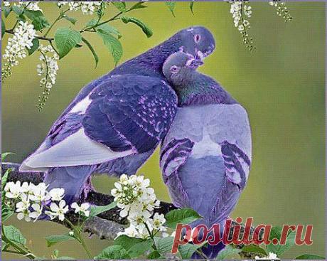 ЖЕЛАЮ  ВАМ  ДУШЕВНОЙ  ТЕПЛОТЫ  !!!!!!

душевная – музыка