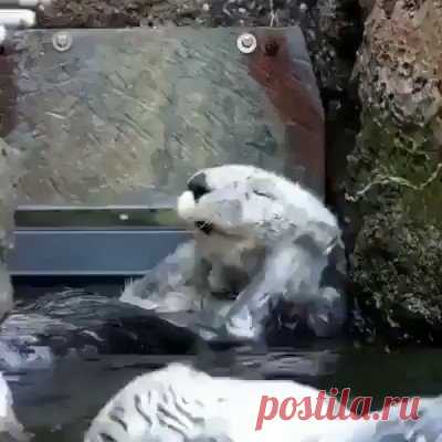 Всем доброго субботнего утра, отличного настроения и приятного общения