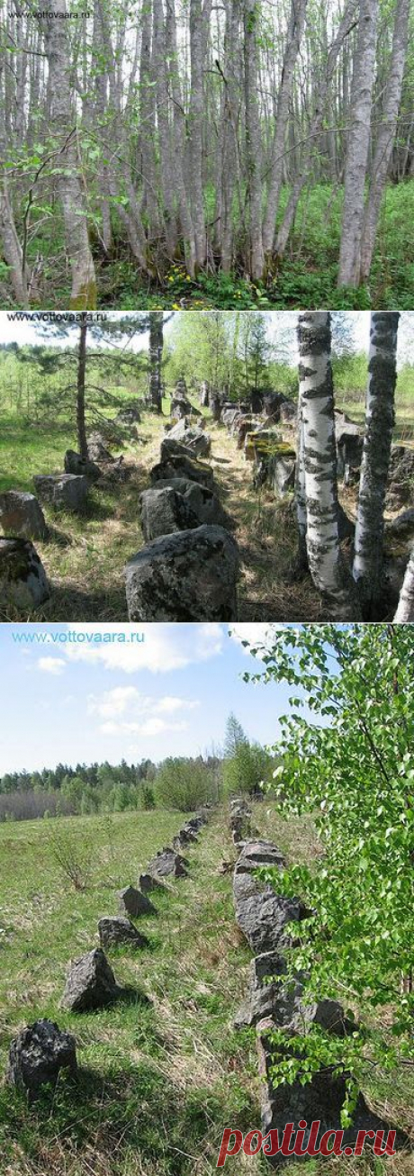 Места силы Ольховая Глушь | сказочная карелия