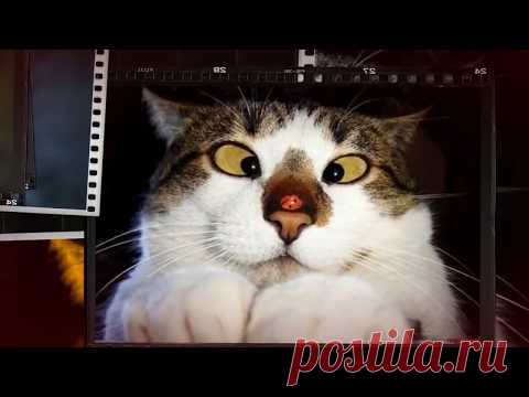 Видеоредактора YouTube больше не будет? | Еще одна новость, которая может добавить работы в создании видео для тех, кто использует видеоредактор Ютуба.

Вы уже в курсе, что с 20 сентября больше не будет возможности создавать видео и слайд-шоу в видеоредакторе YouTube? 

После того, как Ютуб объявил о большом обновлении YouTube Studio, изменения коснулись и функций видеоредактора.