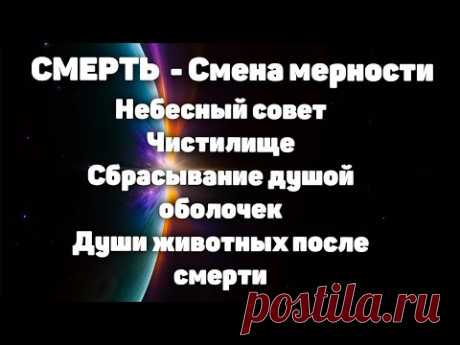 Смена мерности, небесный совет, чистилище, души животных.