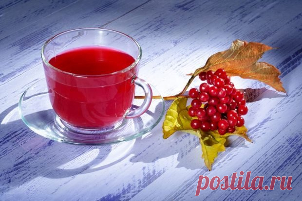 Сок калины с сахаром без варки — Сад Заготовка