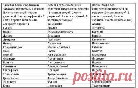 Какую почву для какого растения выбрать
Указатель по алфавиту

Обычно при покупке растения или при поиске информации о нем в сети Интернет мы легко можем узнать о тех почвах, которые предпочтительно использовать при его выращивании.
Но как было бы великолепно найти в одном месте всю нужную информацию.
Показать полностью…