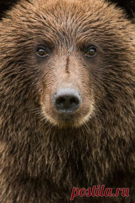 Pinterest • Всемирный каталог идей