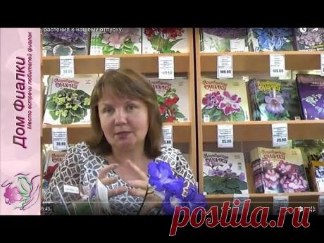 Внимание! Новая видеолекция! 

Как подготовить растения к нашему отпуску. 
Запись лекции Ирины Киселёвой, участницы выставок геснериевых в московском Доме Фиалки, 27 августа 2017г.

#ДомФиалки #Дом_Фиалки #выставка_фиалок #выставкафиалок #геснериевые #сенполии #фиалки #узамбарские_фиалки #узамбарскиефиалки #минифиалки #фиалкимини #фиалкахимера #стрептокарпус #смитианта #примулина #фуксия #глоксиния #пеларгония