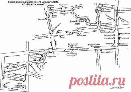 Новый городской автобусный маршрут — Реальный Брест