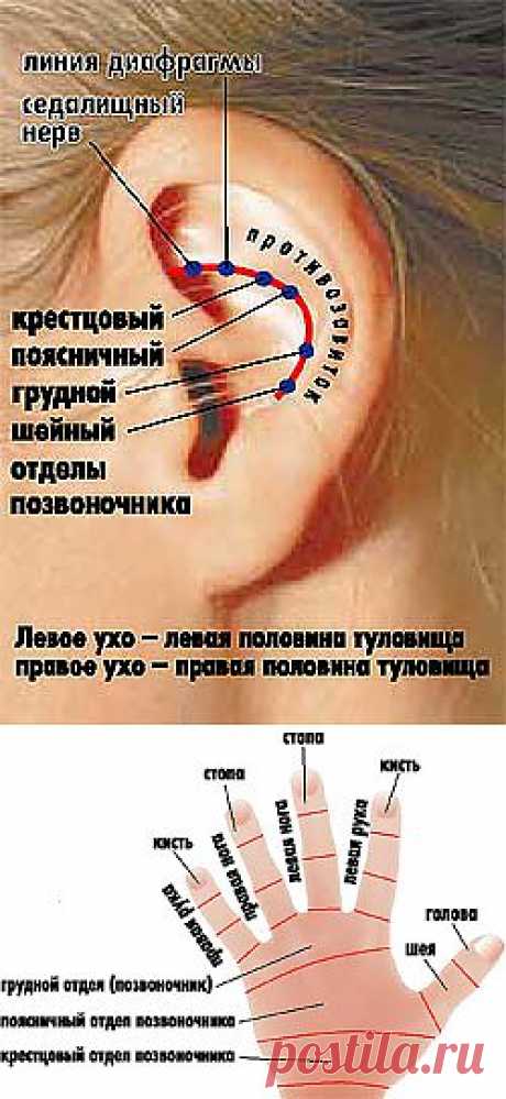 Гречка - средство от болезней | ВСЕГДА В ФОРМЕ!