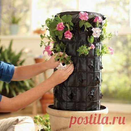 Фотографии на стене сообщества | 32 897 фотографий