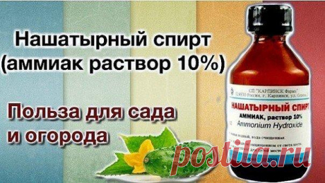 НАШАТЫРНЫЙ СПИРТ ДОМА И НА ДАЧЕ