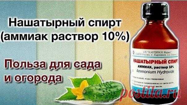 НАШАТЫРНЫЙ СПИРТ ДОМА И НА ДАЧЕ