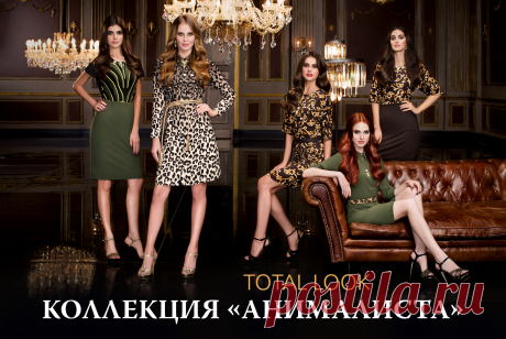 Новинки