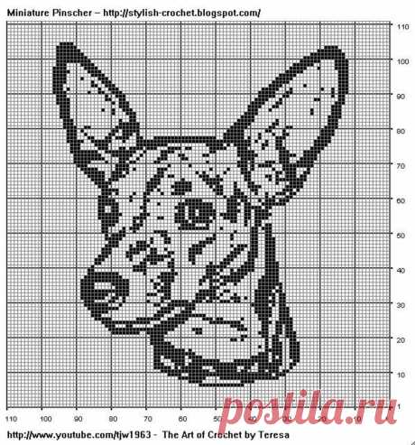 пинчер карликовый машинная вышивка: 21 тыс изображений найдено в Яндекс.Картинках