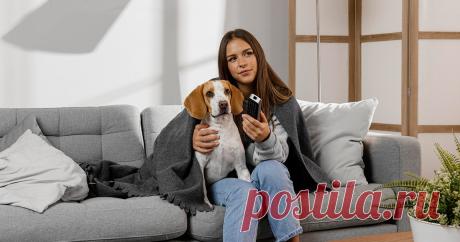 Десять явных признаков того, что домашний питомец вас любит Ветеринары рассказали, как понять, что кошка или собака вас действительно любит. Делимся списком признаков специалистов.