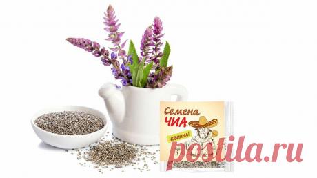 Хочется убрать морщины. 2 маски с омолаживающим эффектом
В этой статье я поделюсь с вами рецептами омолаживающих масок с увлажняющим, тонизирующим, освежающим и отбеливающим эффектом. Для первого рецепта нам понадобится необычный, но многим уже знакомый продукт — это семена чиа (Шалфей испанский). Это мелкие зернышки, которые при добавлении любой жидкости увеличиваются в размерах и превращаются в желейную массу. Семена чиа содержат большое количество […]
Читай дальше на сайте. Жми подробнее ➡