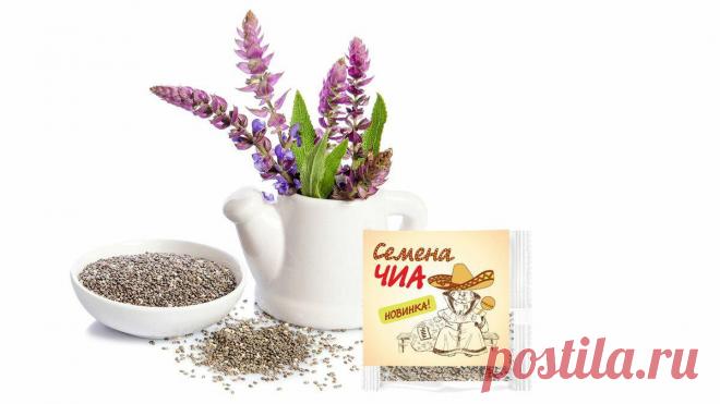 Хочется убрать морщины. 2 маски с омолаживающим эффектом
В этой статье я поделюсь с вами рецептами омолаживающих масок с увлажняющим, тонизирующим, освежающим и отбеливающим эффектом. Для первого рецепта нам понадобится необычный, но многим уже знакомый продукт — это семена чиа (Шалфей испанский). Это мелкие зернышки, которые при добавлении любой жидкости увеличиваются в размерах и превращаются в желейную массу. Семена чиа содержат большое количество […]
Читай дальше на сайте. Жми подробнее ➡