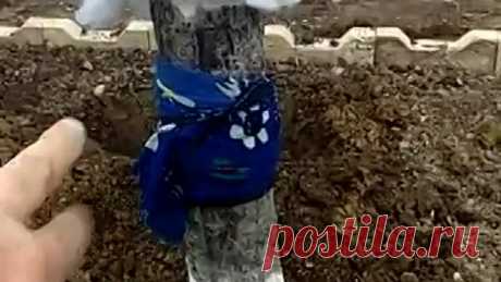 Отличный совет!