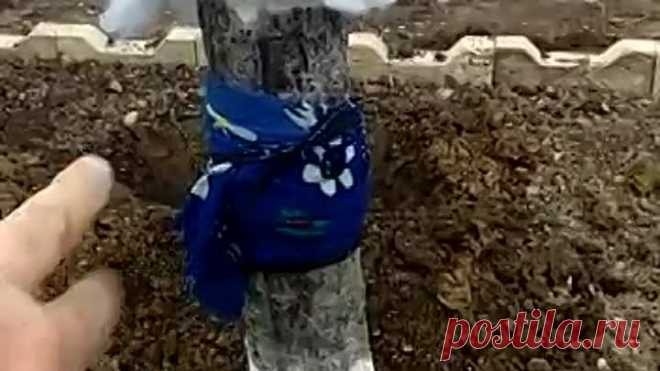 Отличный совет!